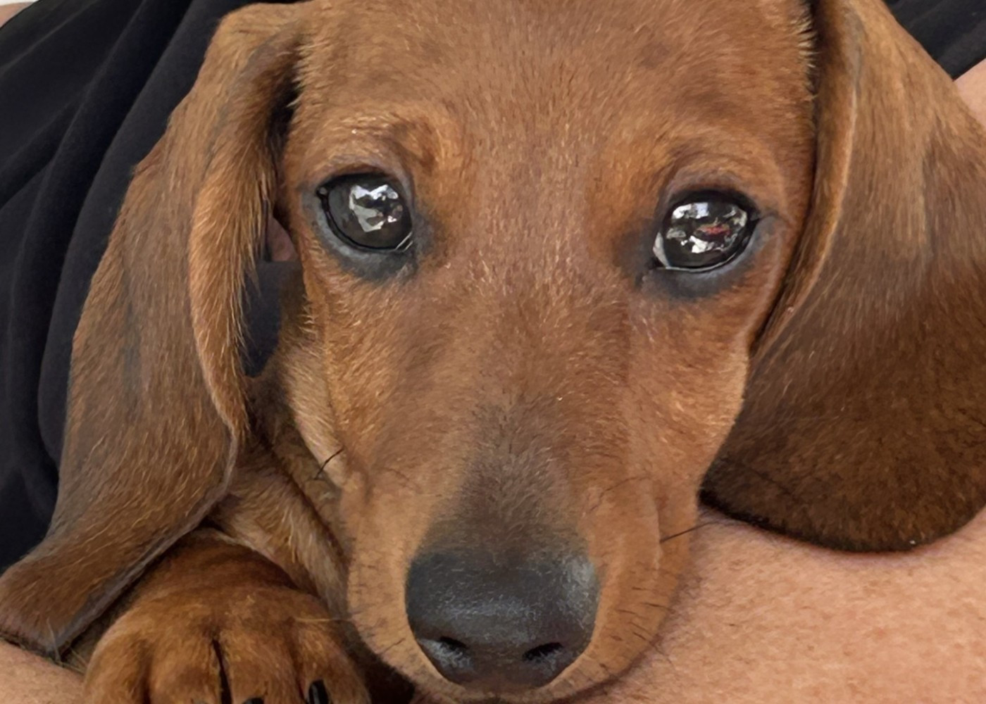 VALLY de ker ki douar