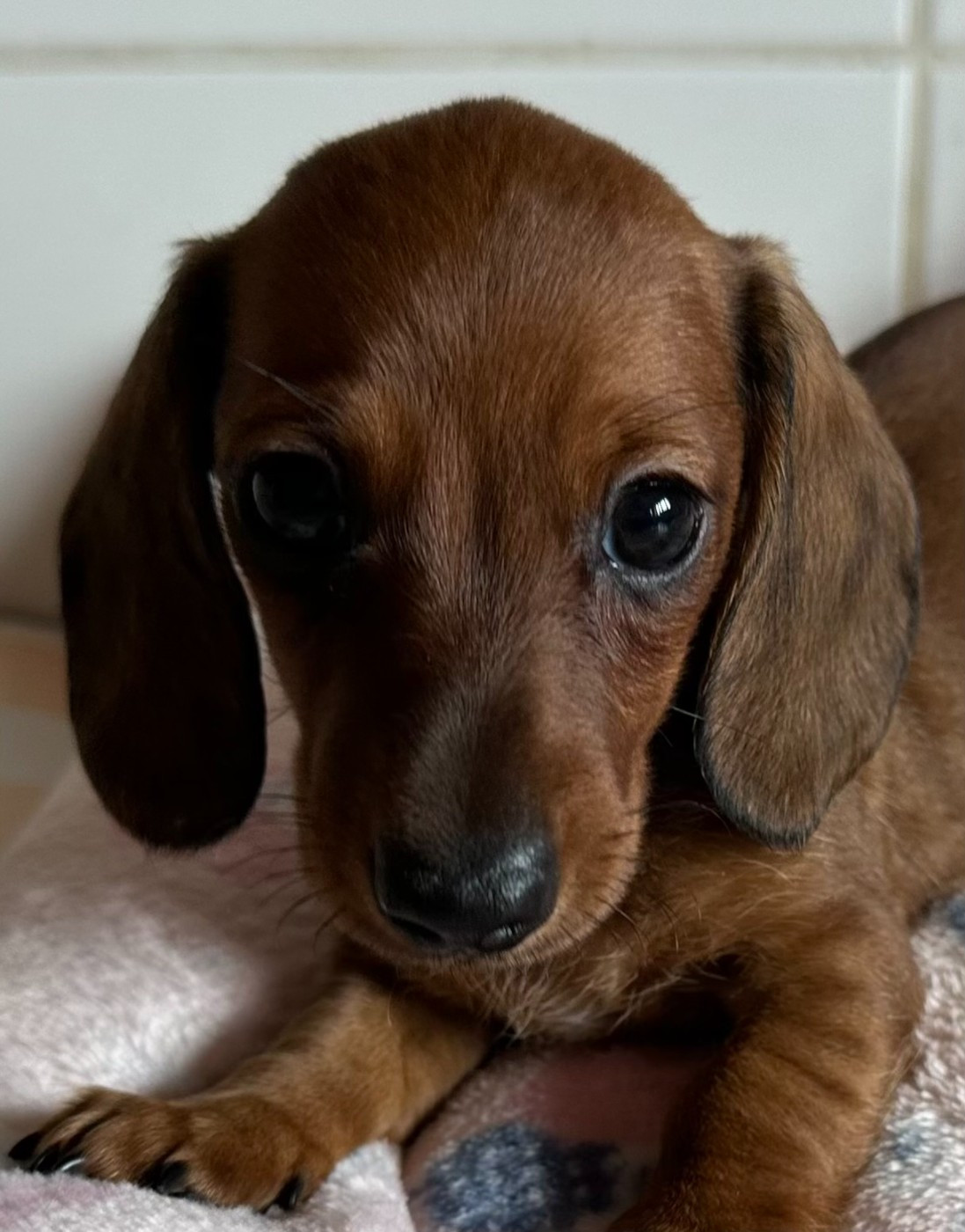 VALLY DE KER KI DOUAR